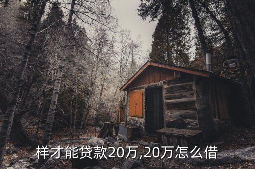 样才能贷款20万,20万怎么借