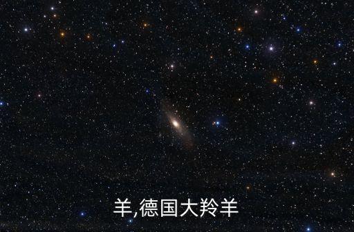 大羚羊,德国大羚羊