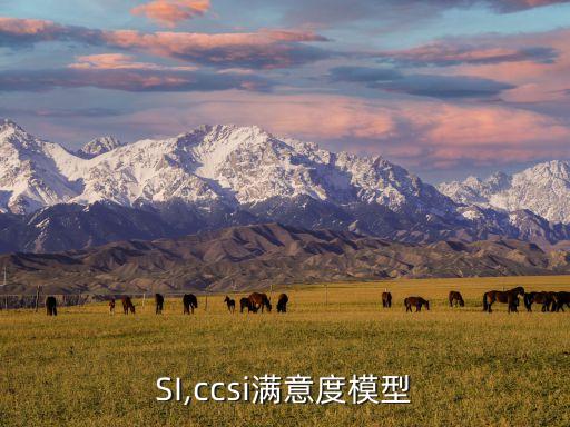 CCSI,ccsi满意度模型