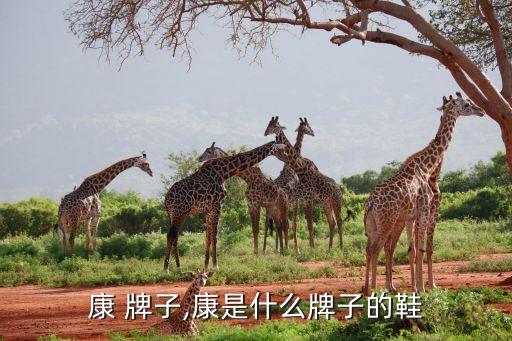 康 牌子,康是什么牌子的鞋