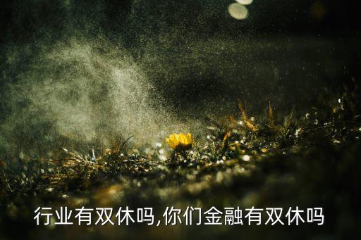 行业有双休吗,你们金融有双休吗