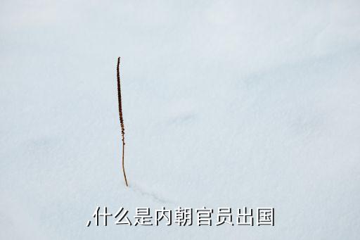 内朝,什么是内朝官员出国?