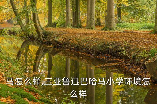 巴哈马怎么样,三亚鲁迅巴哈马小学环境怎么样?