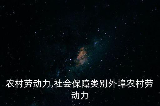 农村劳动力,社会保障类别外埠农村劳动力
