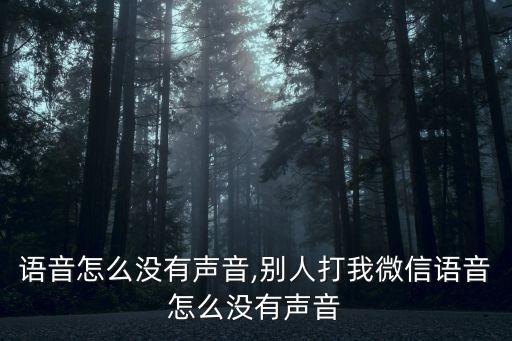 语音怎么没有声音,别人打我微信语音怎么没有声音