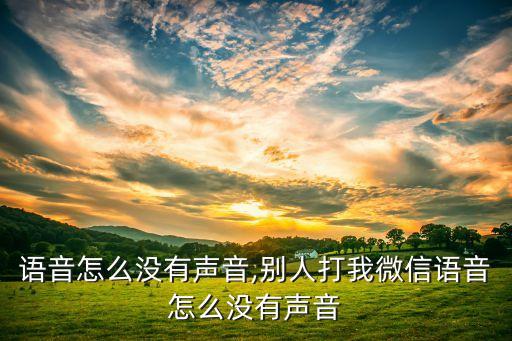 微信语音怎么没有声音,别人打我微信语音怎么没有声音