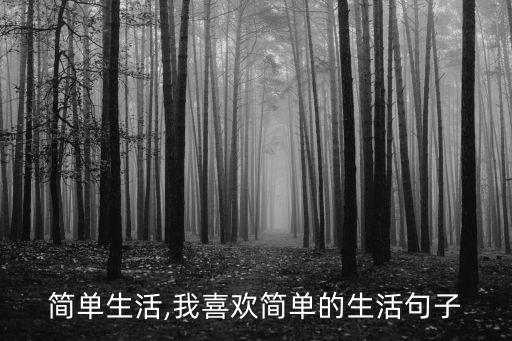 我的简单生活,我喜欢简单的生活句子