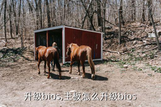 升级bios,主板怎么升级bios