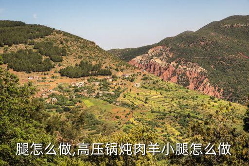 羊小腿怎么做,高压锅炖肉羊小腿怎么做