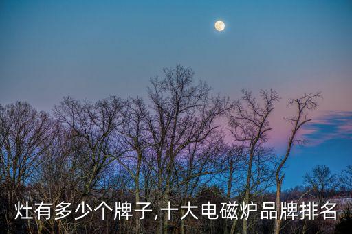 电磁灶有多少个牌子,十大电磁炉品牌排名