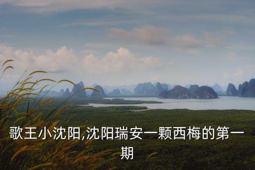 跨界歌王小沈阳,沈阳瑞安一颗西梅的第一期