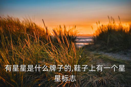 鞋上有星星是什么牌子的,鞋子上有一个星星标志