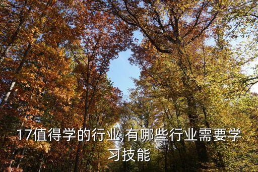17值得学的行业,有哪些行业需要学习技能
