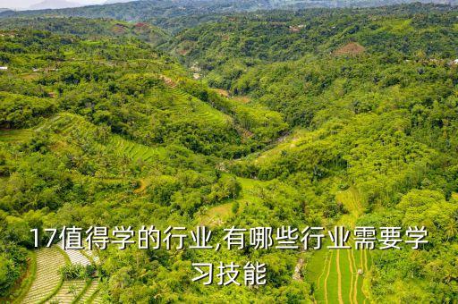 2017值得学的行业,有哪些行业需要学习技能?