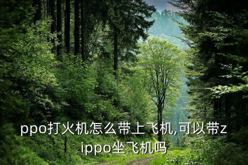 ppo打火机怎么带上飞机,可以带zippo坐飞机吗