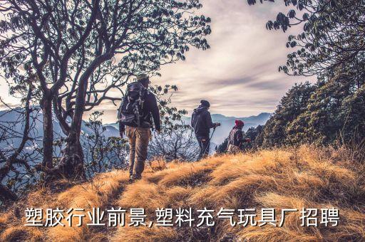 充气塑胶行业前景,塑料充气玩具厂招聘