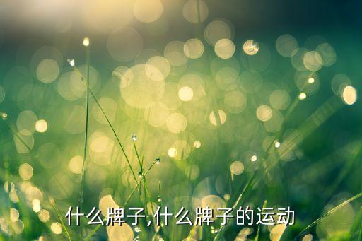 运动什么牌子,什么牌子的运动?