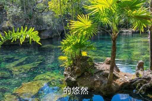 青青的悠然