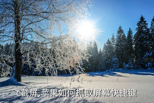 mac截屏,苹果如何抓取屏幕快捷键?