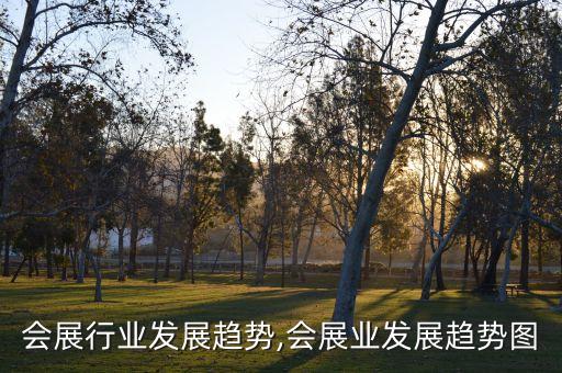 关于会展行业发展趋势,会展业发展趋势图