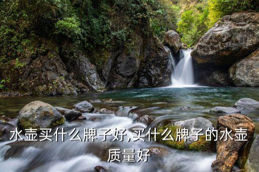 水壶买什么牌子好,买什么牌子的水壶质量好