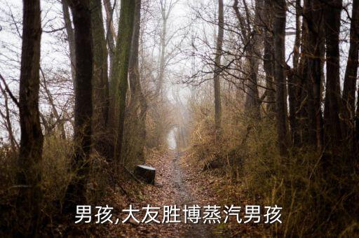 男孩,大友胜博蒸汽男孩