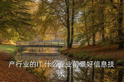 产行业的IT,什么专业前景好信息技术