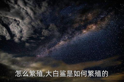 鲨鱼怎么繁殖,大白鲨是如何繁殖的?