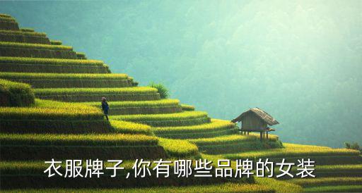 衣服牌子,你有哪些品牌的女装