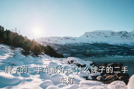 什么牌子的二手车最好,买什么牌子的二手车好?