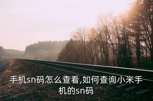 手机sn码怎么查看,如何查询小米手机的sn码
