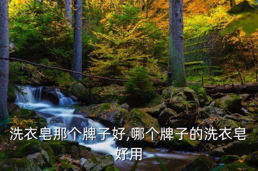 婴儿洗衣皂那个牌子好,哪个牌子的洗衣皂好用?