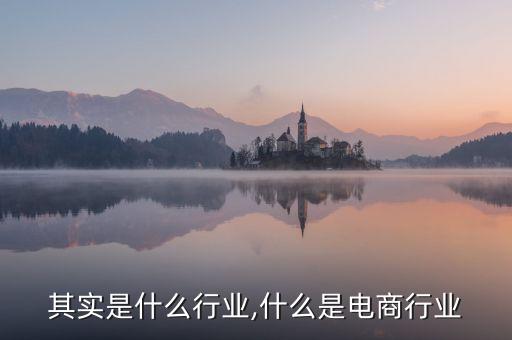 其实是什么行业,什么是电商行业