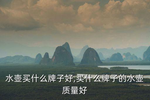 水壶买什么牌子好,买什么牌子的水壶质量好