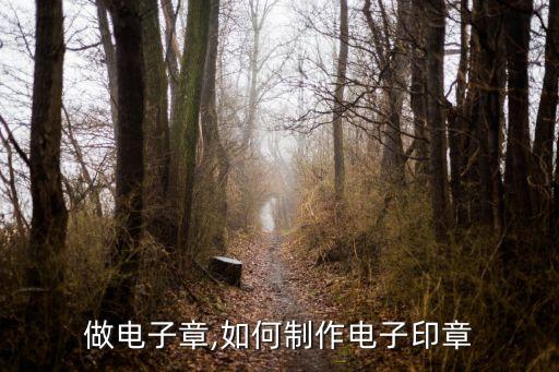 做电子章,如何制作电子印章