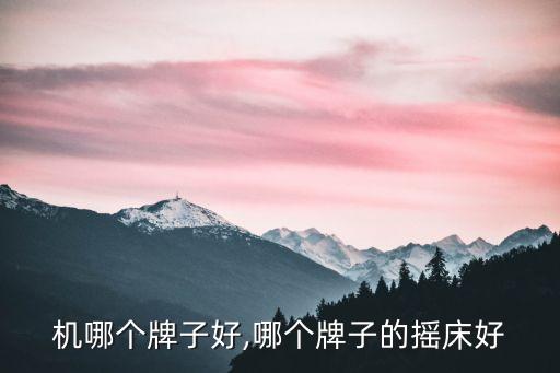 抖脂机哪个牌子好,哪个牌子的摇床好?
