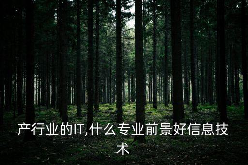 产行业的IT,什么专业前景好信息技术