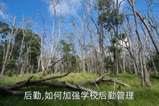 学校后勤,如何加强学校后勤管理