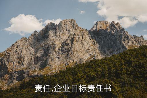 责任,企业目标责任书