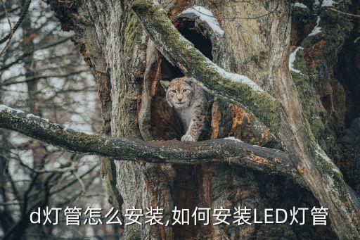 led灯管怎么安装,如何安装LED灯管?