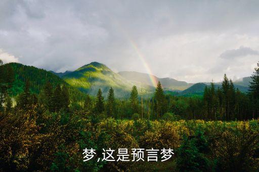 梦,这是预言梦