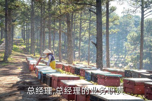 总经理,总经理的业务职责
