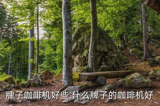 牌子咖啡机好些,什么牌子的咖啡机好