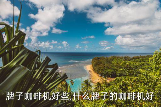 牌子咖啡机好些,什么牌子的咖啡机好
