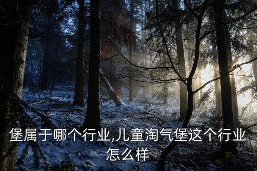 堡属于哪个行业,儿童淘气堡这个行业怎么样