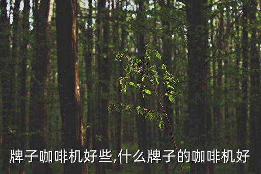 哪个牌子咖啡机好些,什么牌子的咖啡机好?