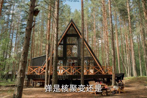 弹是核聚变还是