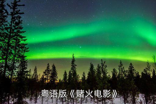 火无,粤语版《赌火电影》