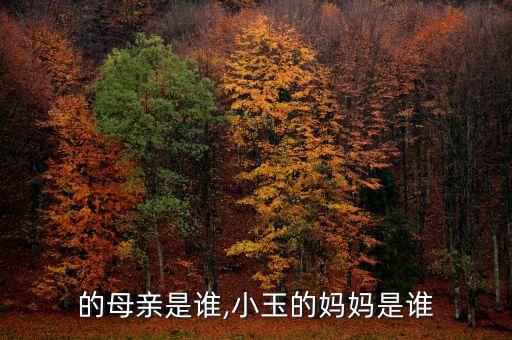 泰迦的母亲是谁,小玉的妈妈是谁?