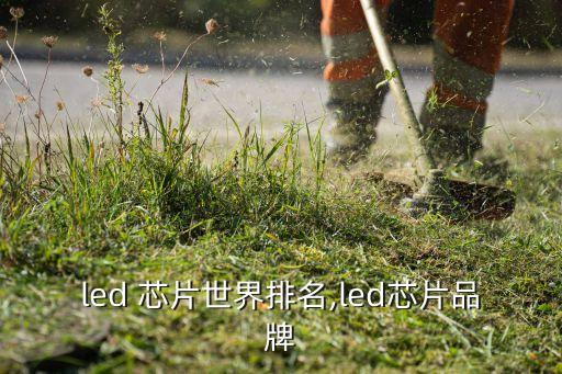 led 芯片世界排名,led芯片品牌